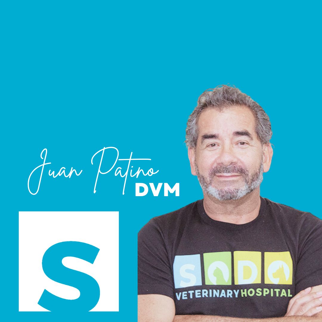 Juan Patina, DVM wearing a SODO Veterinary Hospital t-shirt.