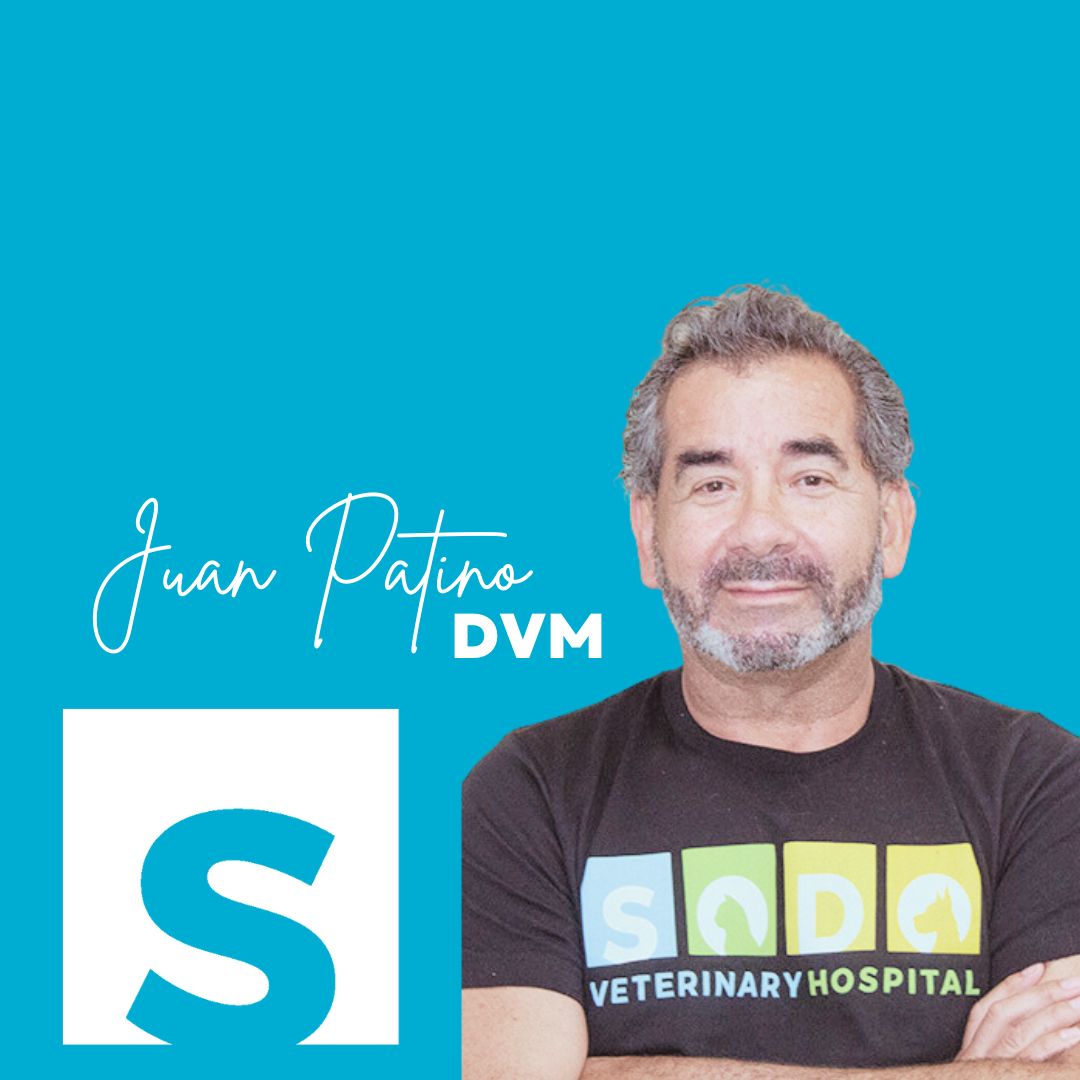 Juan Patino, DVM of SODO Veterinary Hospital in Orlando, Florida. 