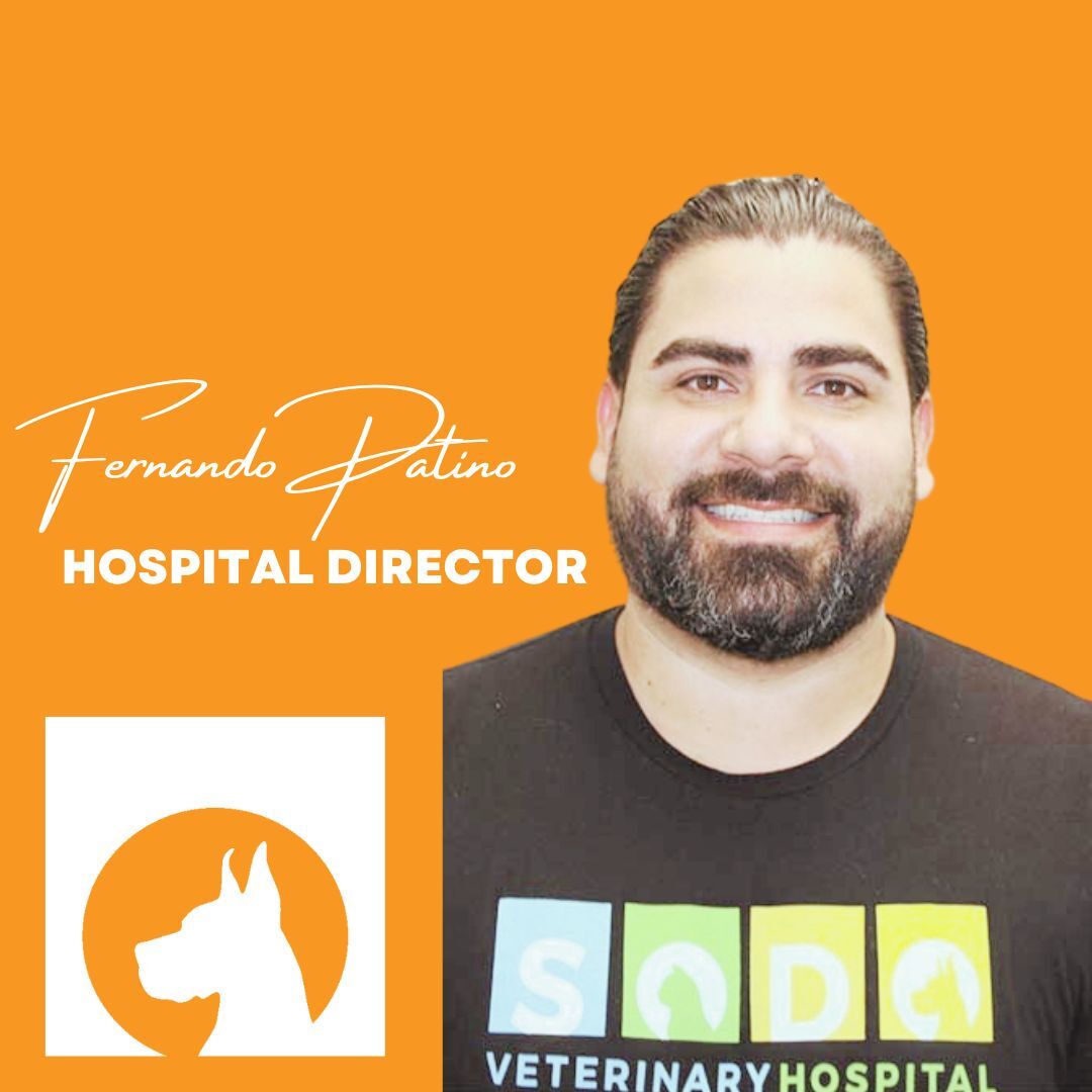 Fernando Patino, Hospital Director of SODO Veterinary Hospital in Orlando, Florida. 