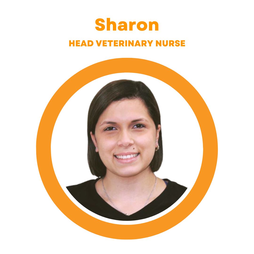 Sharon, Head Veterinary Nurse at SODO Veterinary Hospital in Orlando, FL. 
