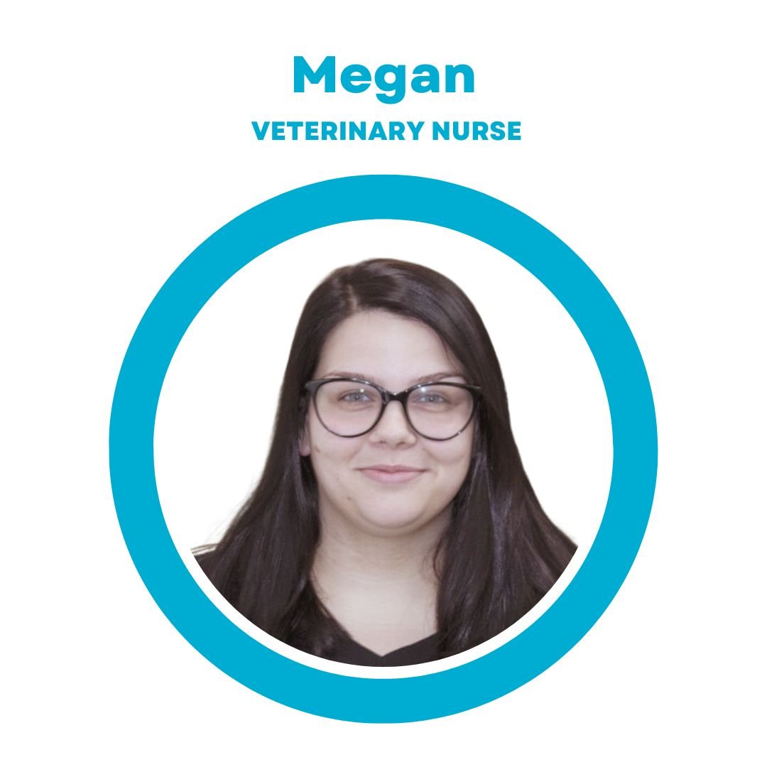Megan, Veterinary Nurse at SODO Veterinary Hospital in Orlando, FL. 