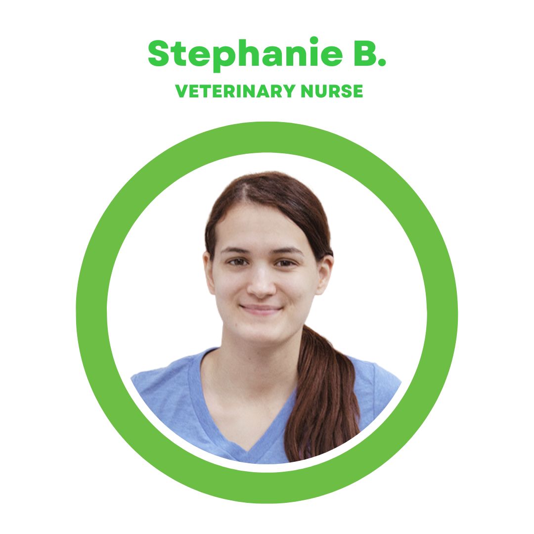 Stephanie B., Veterinary Nurse at SODO Veterinary Hospital in Orlando, FL. Stephanie B., Veterinary Nurse at SODO Veterinary Hospital in Orlando, FL.