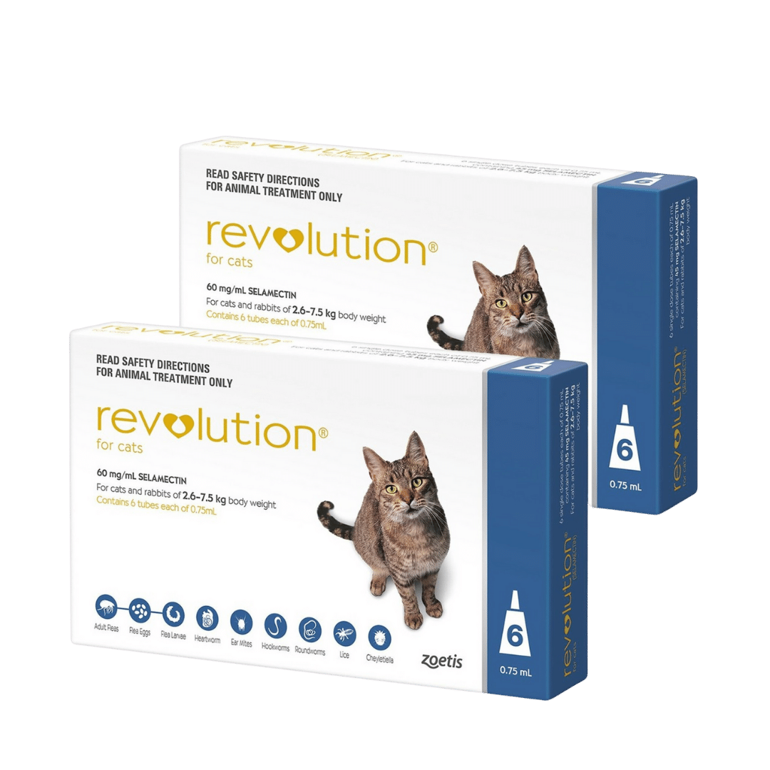 Two boxes of Revolution flea treatment for cats. 