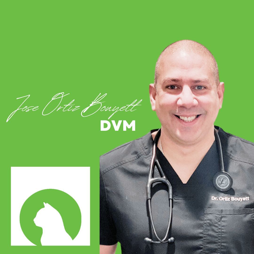 Jose Ortiz Bouyett, DVM - SODO Veterinary Hospital team photo.